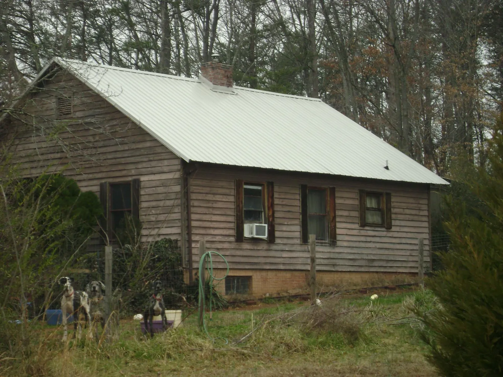 White metal roof on an old wood sided farmhouse, from a Asphalt Shingle Roof Repair job in Zeigler